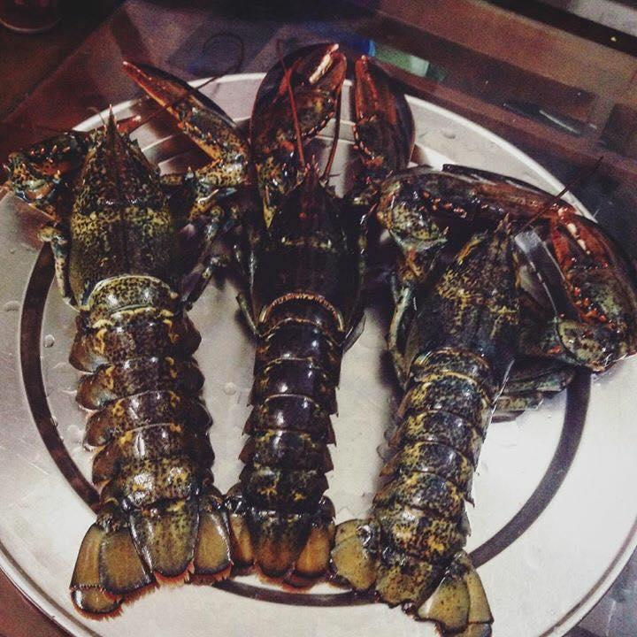 Loại tôm hùm này đang được bán với giá rẻ bằng nửa giá tôm hùm trong nước