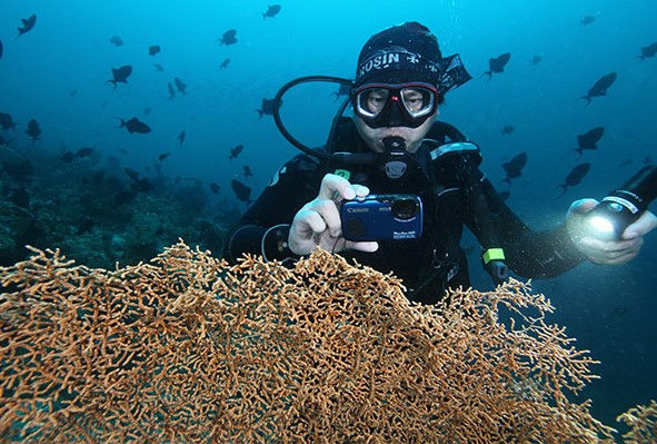Lĩnh vực máy ảnh hoạt động dưới nước hiện đang cạnh tranh mạnh giữa Canon, Nikon và Fuji.