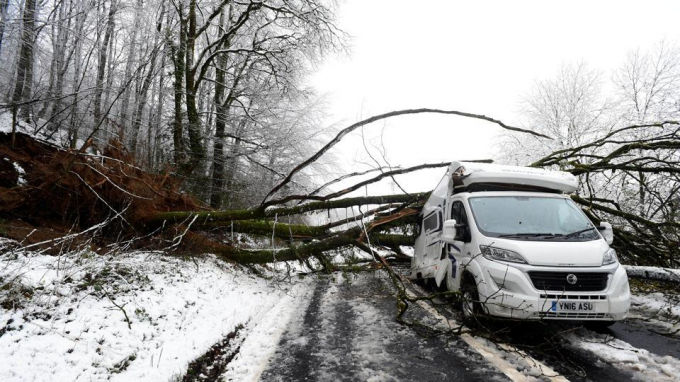 Tuyết rơi dày khiến thân cây đổ gục đè lên một chiếc xe tải ở Sennybridge, xứ Wales hôm 10/12.