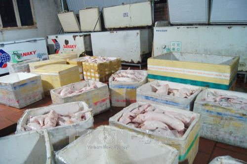 Số thịt được phát hiện tại nhà bà Nguyễn Thị Nhẫn. Ảnh TTXVN