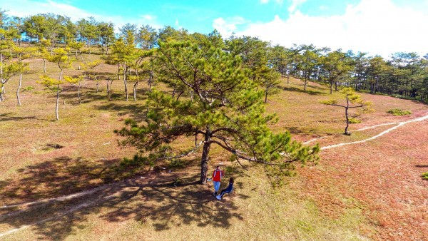 Bộ ảnh siêu nhắng nhít của cặp đôi ở Đà Lạt gợi nhớ trào lưu ‘nắm tay em đi khắp thế gian’