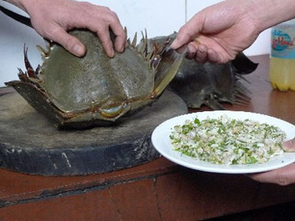 Độc tố Tetrodotoxin trong loài so biển là độc tố thần kinh mạnh, có khả năng gây liệt cơ hô hấp, ngưng thở, gây tử vong. 