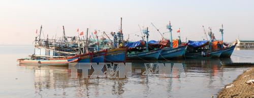   Tàu cá neo đậu tránh bão bên bờ biển Tây thành phố Rạch Giá (Kiên Giang). Ảnh: Lê Huy Hải - TTXVN  