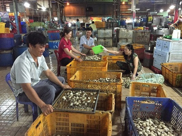 Nguồn hàng nông sản từ các tỉnh ĐBSCL về chợ đầu mối Bình Điền đã giảm mạnh do bão Tembin