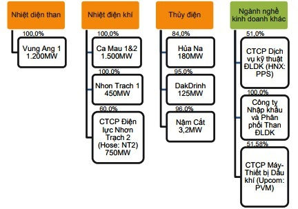 Cơ cấu sản phẩm và các công ty con của PVPower