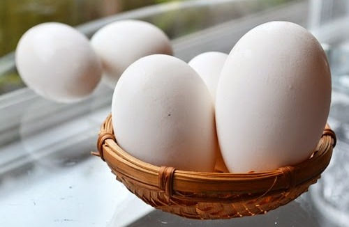 Giá trị dinh dưỡng của trứng ngỗng không trội hơn trứng gà, vịt, Ảnh minh họa