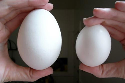 Mẹ bầu nên lựa trứng mới để dùng. Ảnh minh họa