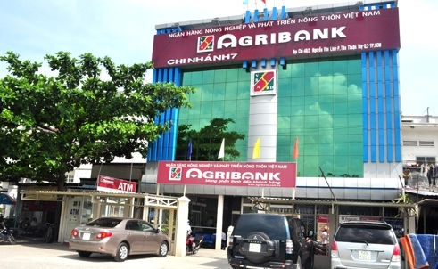 Agribank vẫn chưa thể bán tài sản thế chấp để thu hồi nợ trong vụ án này.