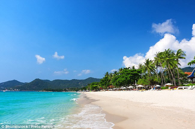 Nếu du khách đang tìm kiếm một bãi biển với nhịn sống sôi động, hãy lựa chọn bãi biển Chaweng trên đảo Koh Samui. Nửa phía bắc của bãi biển là một quán bar sôi động, trong khi phần còn lại là bãi cát vàng với hàng cọ che mát cùng nước trong xanh.