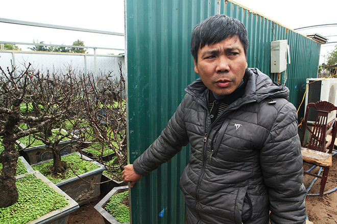 Chủ của vườn đào “VIP” này là ông Lê Hàm, người có nhiều năm kinh nghiệm trồng đào thất thốn ở Hà Nội. Sau nhiều năm nghiên cứu, đi khắp các tỉnh vùng cao, ông đã thành công trong việc nhân giống, điều chỉnh nhiệt độ để đào thất thốn ra hoa đúng dịp Tết Nguyên đán.