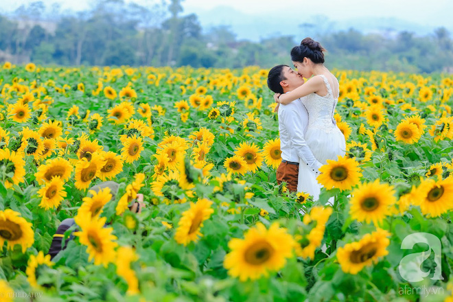 Chỉ cần những bông hoa làm 