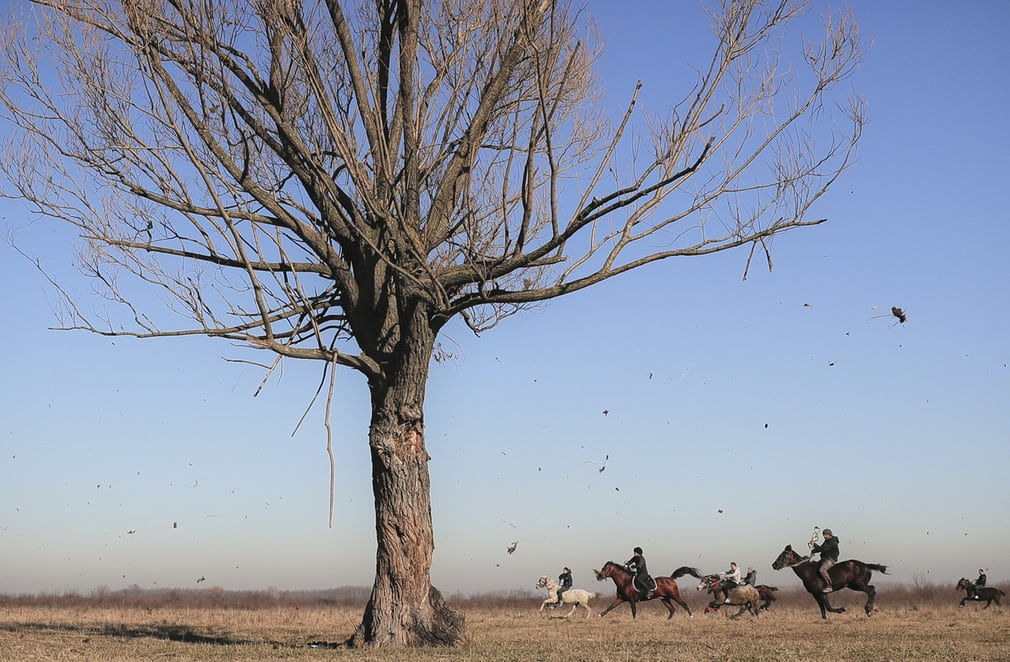   Dân làng tham gia đua ngựa Epiphany truyền thống ở Pietrosani (Romania). Ảnh: Vadim Ghirda / AP  