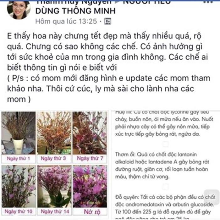 Hoa đỗ quyên “ngủ đông” được rao bán đầy trên mạng. Nguồn: VTC News