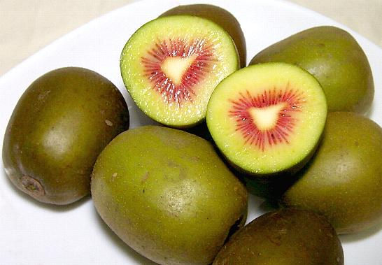 Nhưng mới đây loại kiwi cầu vồng khiến mọi người giật mình vì giá của chúng thuộc hàng siêu đắt đỏ.