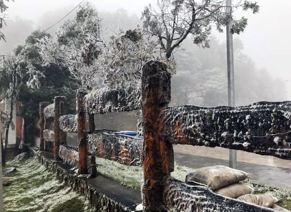 Mưa tuyết đang tràn xuống thị trấn Sa Pa. (Nguồn: báo Lào Cai)