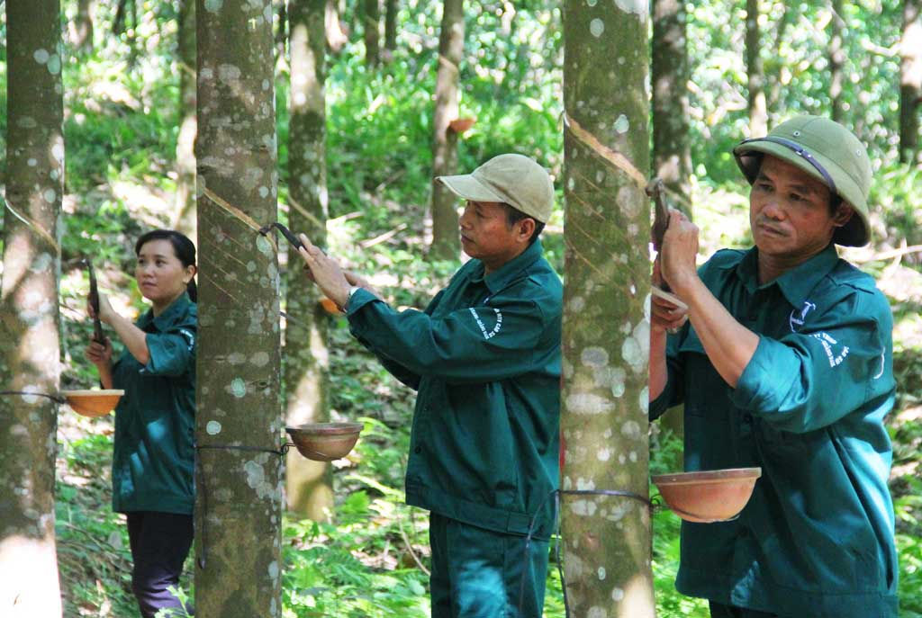 Cổ phần VRG không được chào đón.