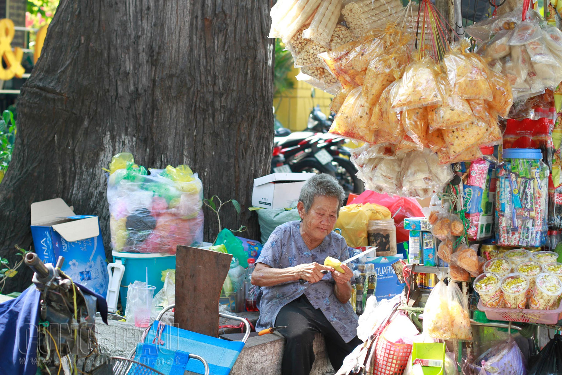 Tranh thủ ăn quả xoài đã hư gần nửa trái.