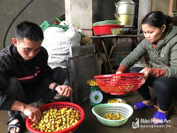 Đây là khâu rửa chè để đảm bảo chè sạch trước khi đưa vào chế biến. Ảnh: Thanh Sầm