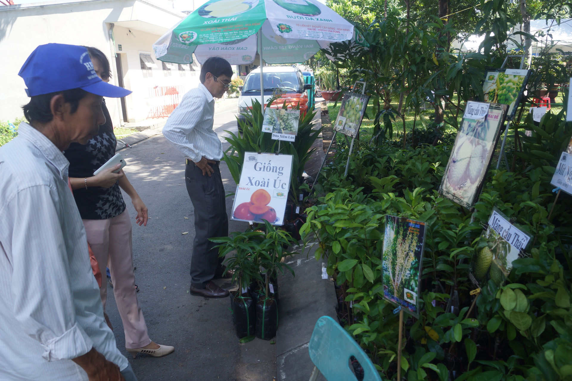 Festival nông nghiệp tại Vĩnh Long là sự kiện quy mô tại ĐBSCL.