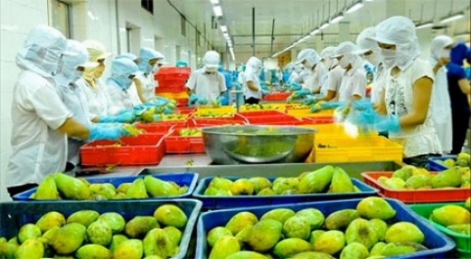 Nhiều mặt hàng của Việt Nam sẽ được vào EU khi FTA được ký kết.