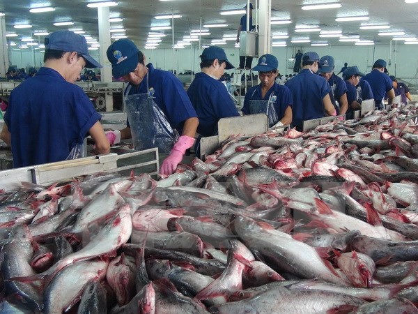 VASEP cho rằng, việc áp thuế 3,87 USD/kg với cá tra Việt Nam mang tính áp đặt và vô lý đối với các doanh nghiệp.