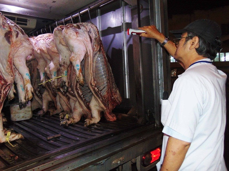 Nhân viên Ban Quản lý an toàn thực phẩm TP.HCM kiểm tra thịt heo từ các tỉnh đưa vào chợ đầu mối Hóc Môn, TP.HCM kinh doanh. Ảnh: Trần Ngọc.
