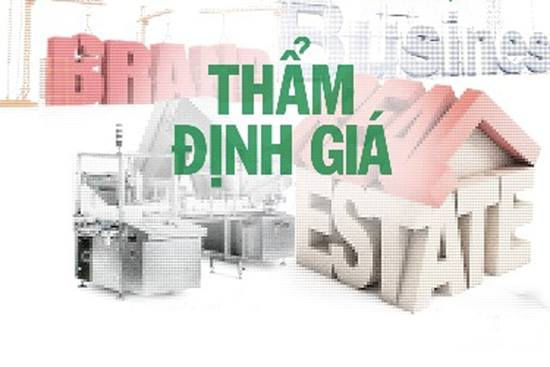 Công ty TNHH Định giá và Tư vấn đầu tư Hà Nội bị đình chỉ hoạt động.