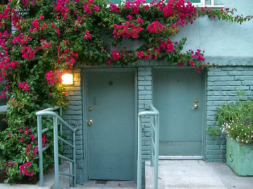 Bạn có thể lựa chọn loại hoa giấy với màu sắc phù hợp và hài hòa với màu sơn tường của ngôi nhà mình ở.