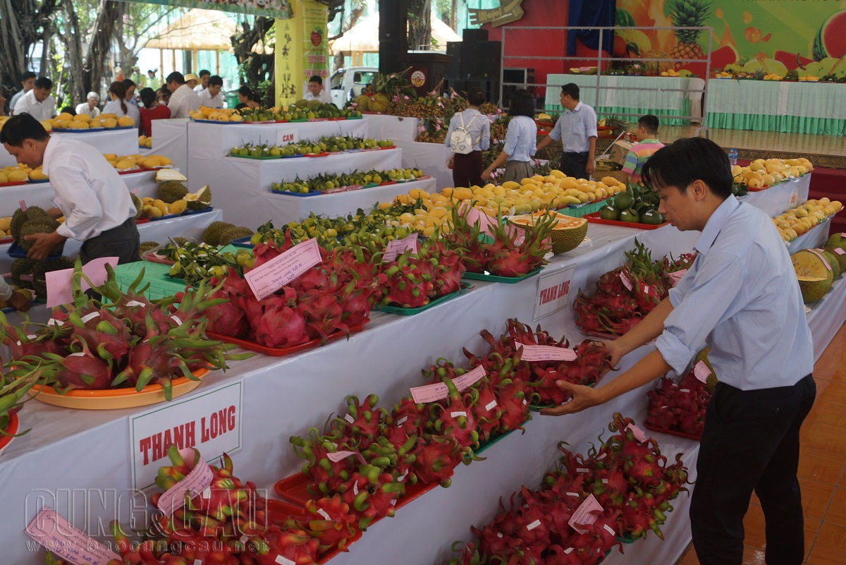Hằm trăm loại trái cây từ nhiều tỉnh thành tại Hội thi trái cây ngon an toàn.
