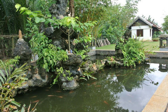 Để tạo sự hài hòa cho bối cảnh, vợ chồng Thu Hương còn cho xây dựng 1 khu tiểu cảnh với hòn non bộ khá đẹp mắt.