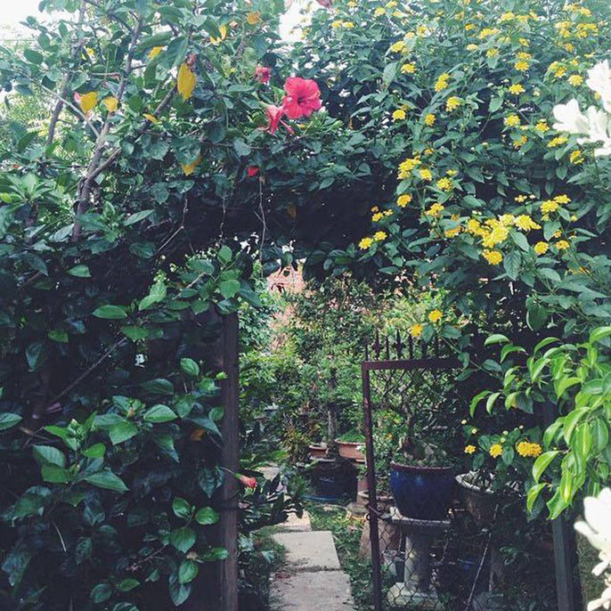 Lối vào khu vườn của gia đình Tăng Thanh Hà ngập tràn cảm giác bình yên và thơ mộng.