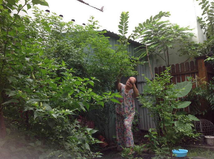 Mẹ Tăng Thanh Hà tỉ mỉ chăm chút cho cây trái trong vườn nhà.