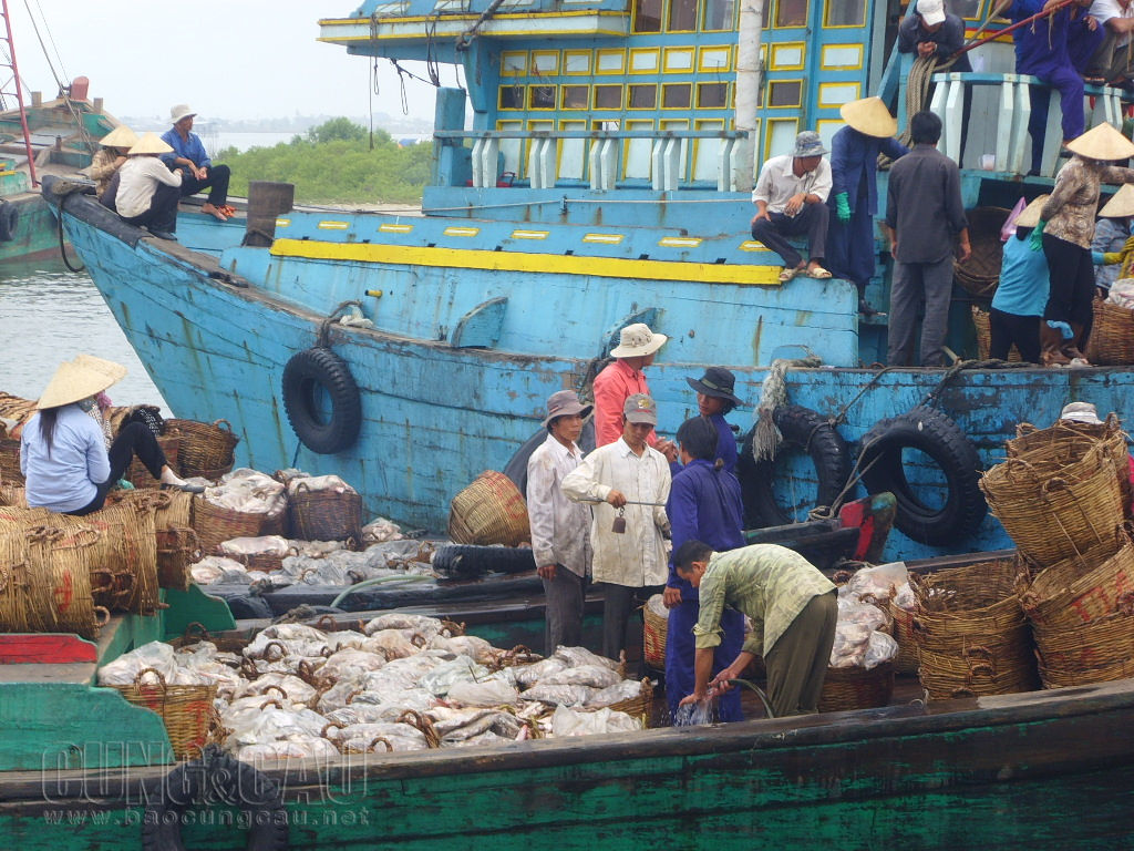 Gần 30.000 tàu cá đánh bắt xa bờ của Việt Nam chưa được lắp thiết bị định vị vệ tinh.