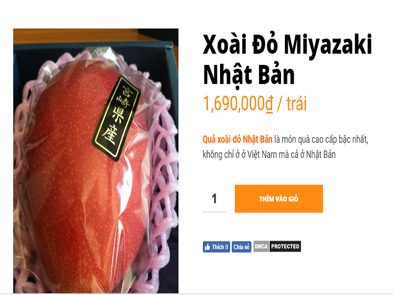 Một quả xoài đỏ được rao bán với mức giá gần 1,7 triệu đồng/quả. Ảnh: Vinfruits