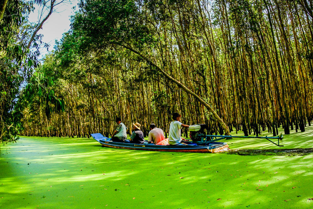 Sự đa dạng về tài nguyên khiến rừng tràm Trà Sư trở thành điểm đến lý tưởng đối với các nhà nghiên cứu và những người ham mê khám phá thiên nhiên hoang dã. Ảnh: vietnamtourism.com