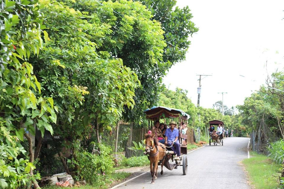 Về cù lao Thới Sơn đi xe ngựa ngắm cảnh miệt vườn. Ảnh: vietnammoi.vn