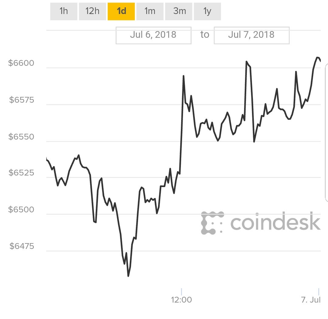 Biểu đồ giao dịch Bitcoin trong 24h qua. 