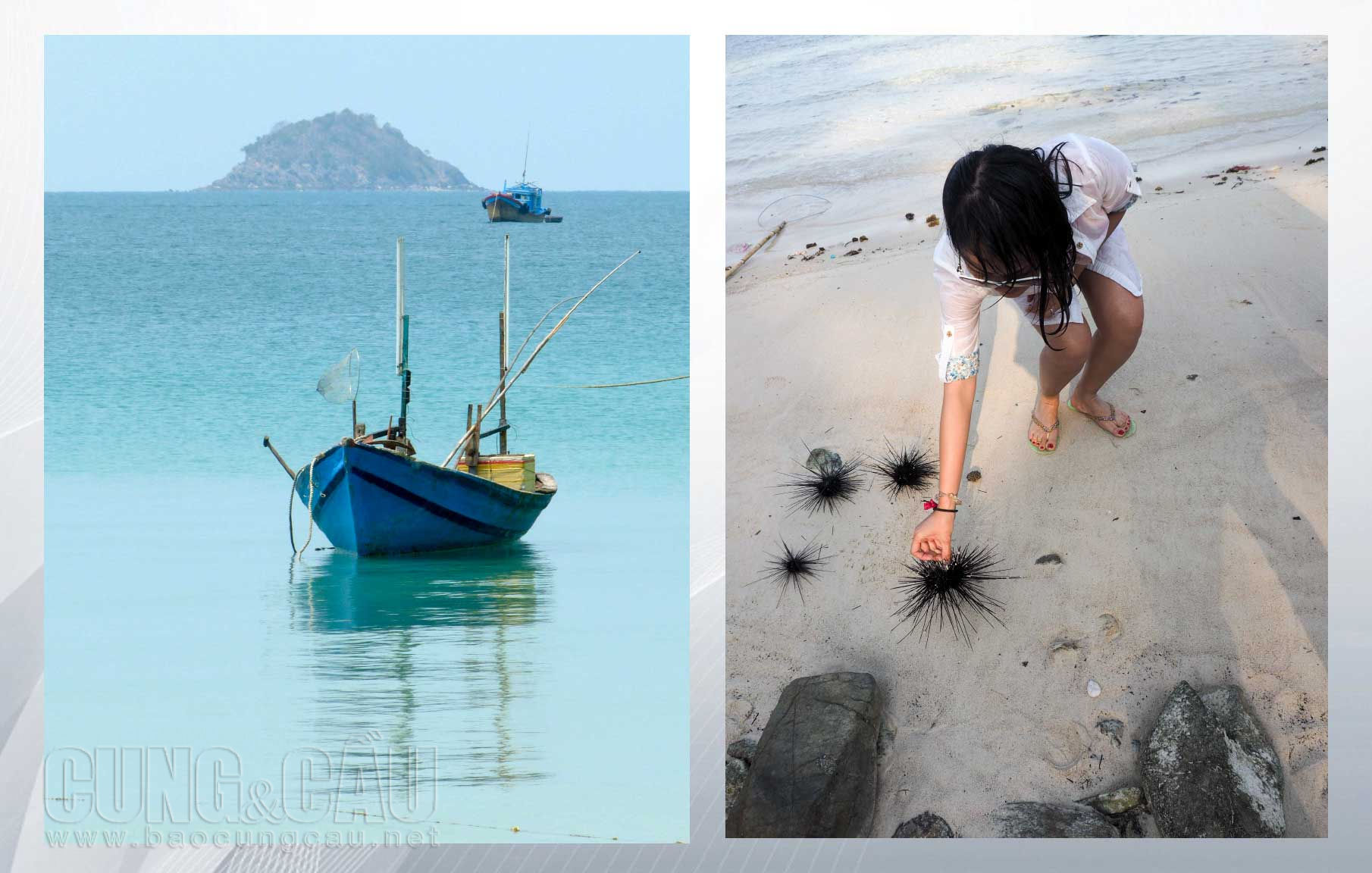 Ngoài các món hải sản phổ biến, du khách đến Nam Du còn có cơ hội tự đánh bắt loài nhím biển (con nhum). Đây là món đặc sản không phải nơi nào cũng có.  