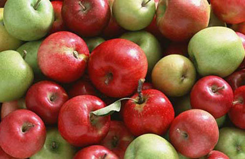 Ăn táo có lợi cho sức khỏe, nhưng chọn loại nào để không 