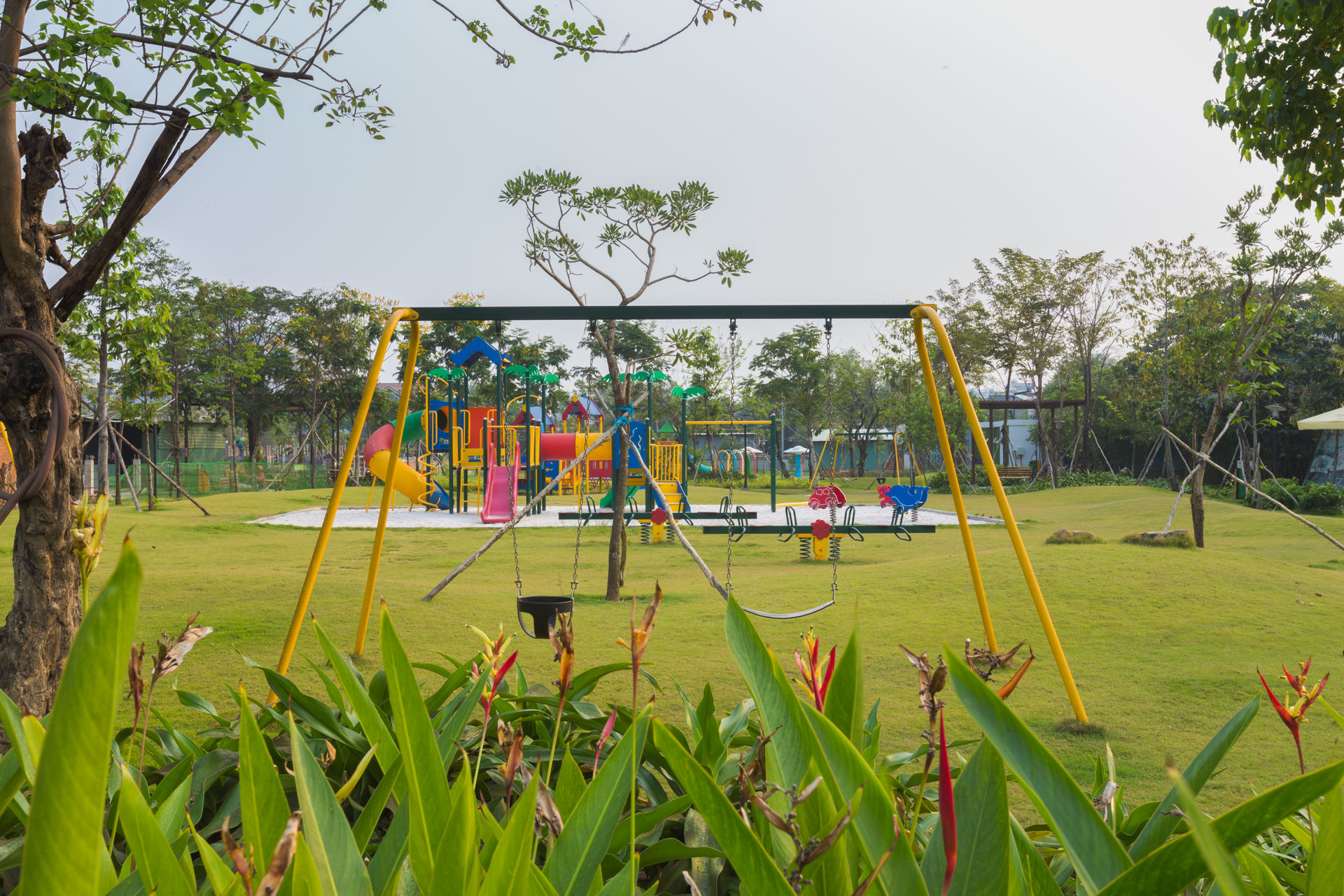   Công viên và những con đường rợp bóng mát là nơi trẻ em chơi đùa, vận động.  