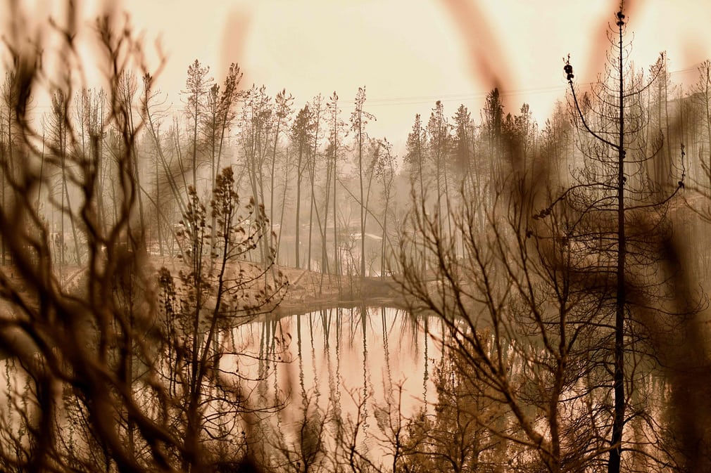  Khung cảnh hoang tàn ở hồ Whiskeytown (California, US) sau khi một đám cháy rừng kinh hoàng.  