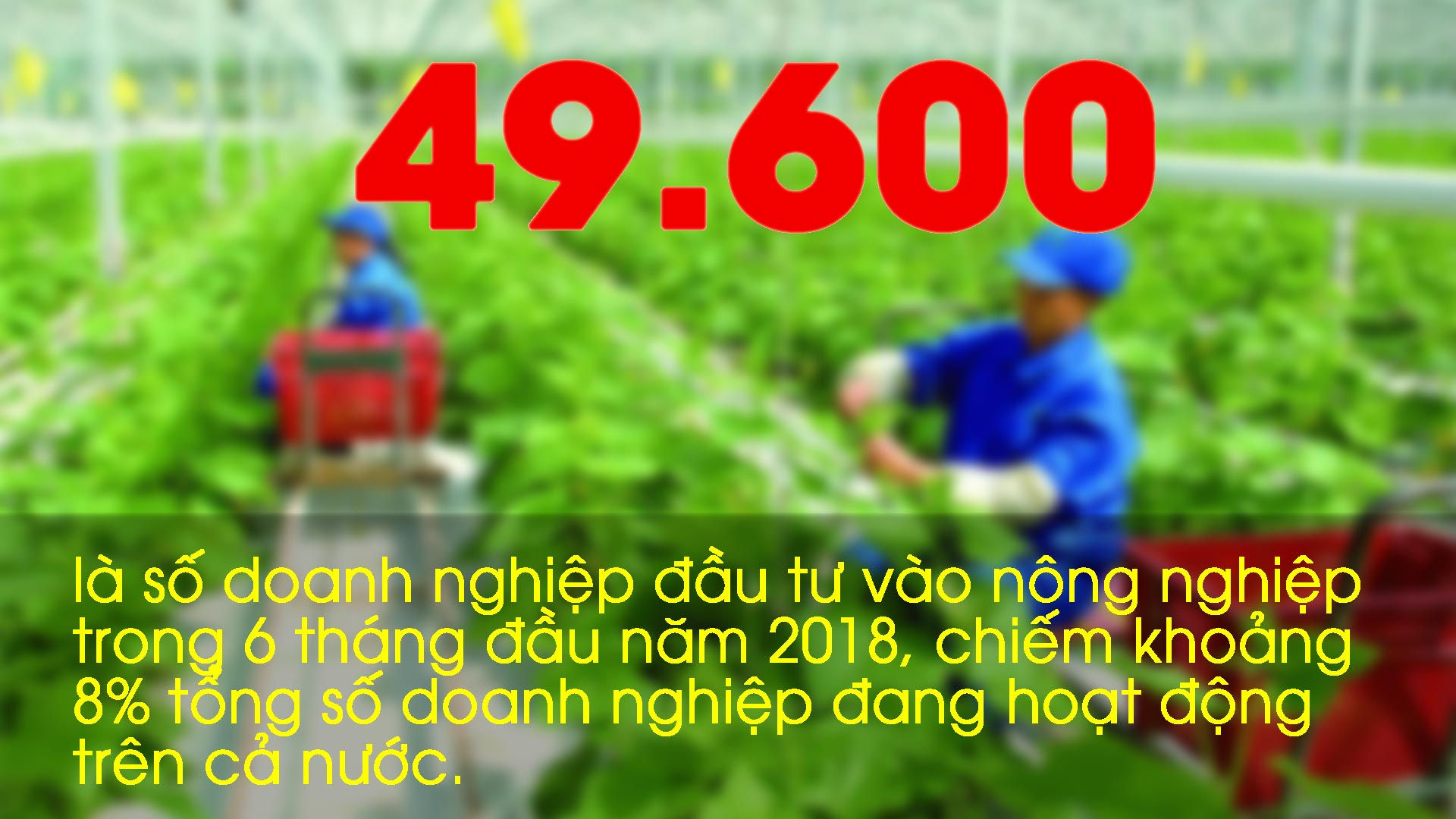 Những con số ấn tượng trong tuần: 49.600 doanh nghiệp đầu tư vào nông nghiệp 