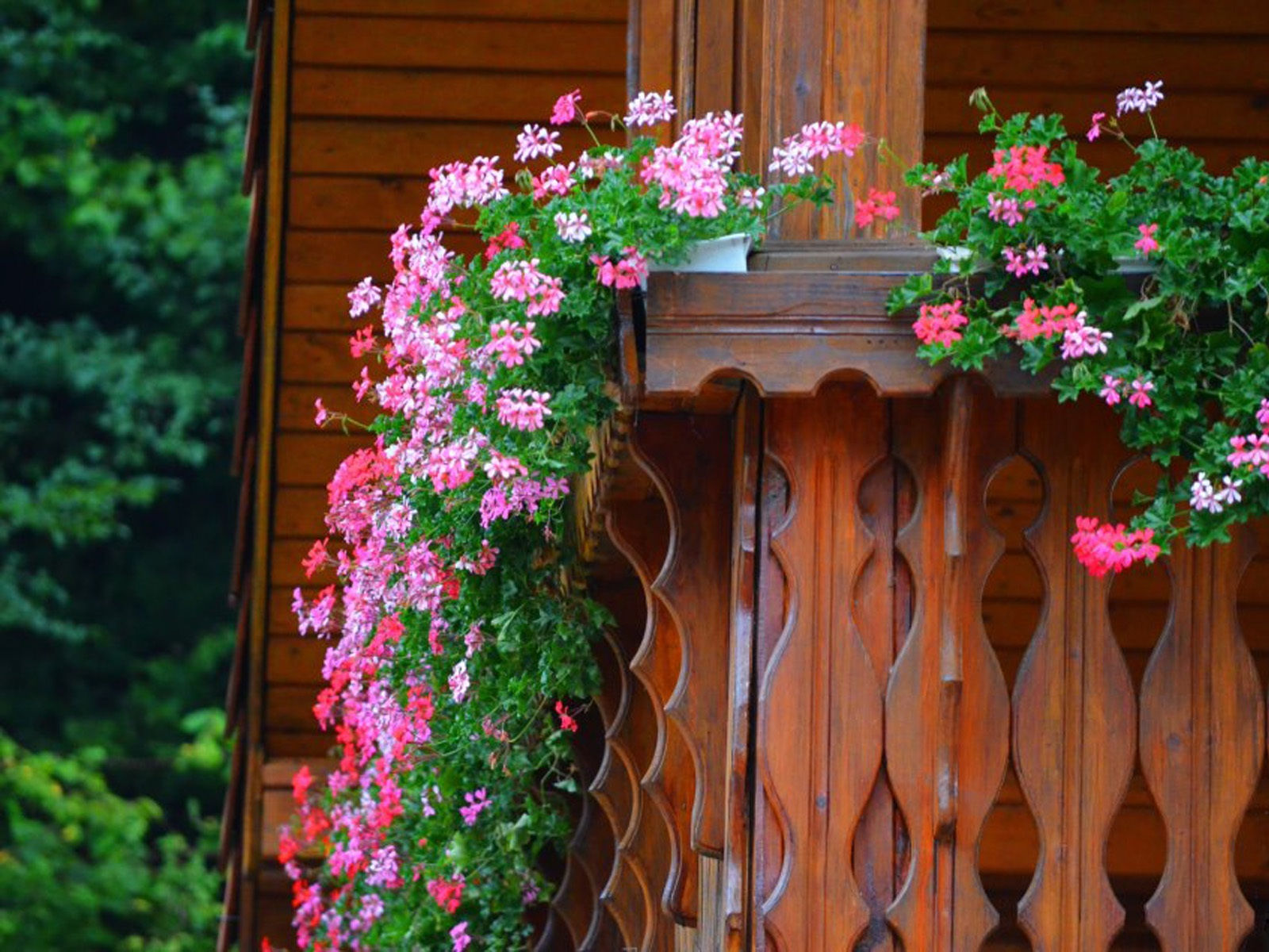 Mê mẩn những ngôi nhà có ban công đầy hoa tuyệt đẹp