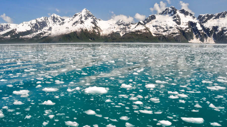 Công viên quốc gia Kenai Fjords, Alaska: Nổi tiếng với cảnh quan ven biển đầy ấn tượng, nơi đây còn nổi tiếng với những tảng băng trôi và những dòng sông băng.  