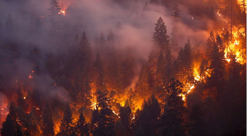   Vụ cháy rừng ở phía tây Redding, California, hôm 30/7/2018.  