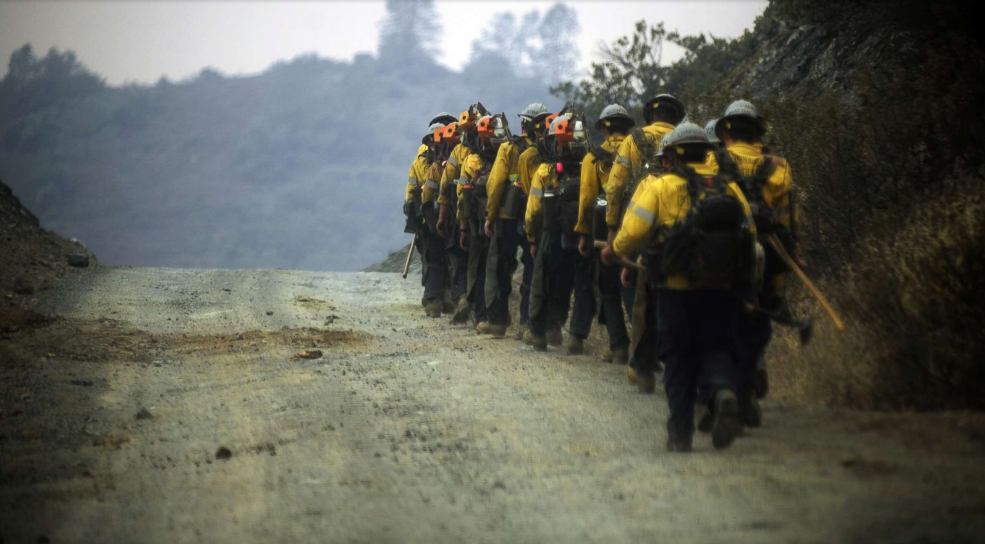   Đội ngũ nhân viên cứu hỏa của Ventura County đi dọc theo một con đường ở rìa phía đông của ngọn lửa .  