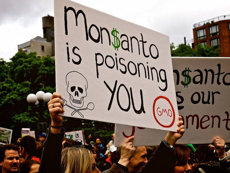 Biểu tình chống Monsanto nổ ra ở nhiều nơi trên thế giới.