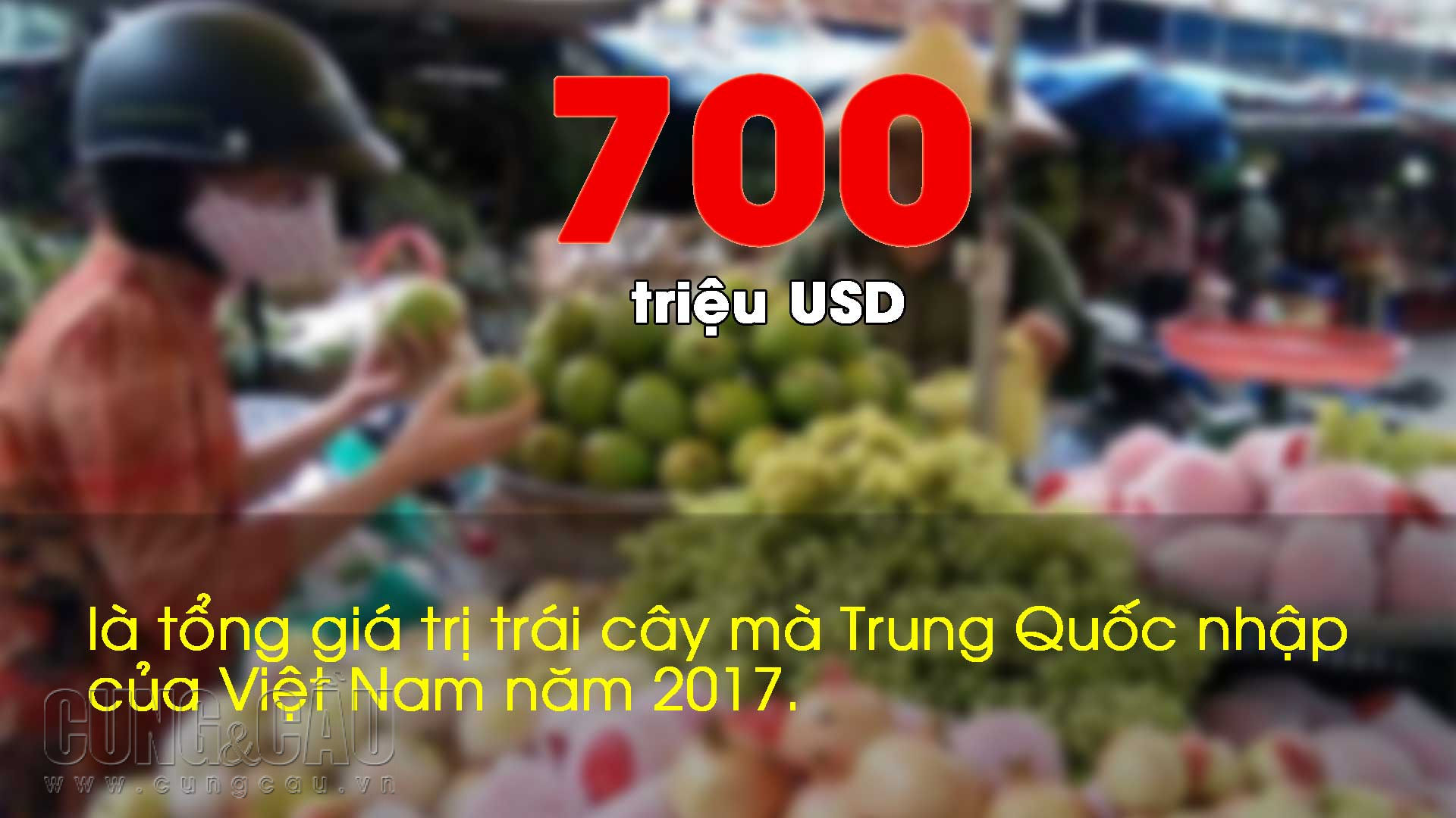 Những con số ấn tượng trong tuần: 5 dự án đường sắt đô thị đội vốn thêm 132.576 tỷ đồng