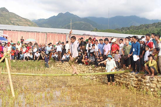 Thi đấu cầu thăng bằng.