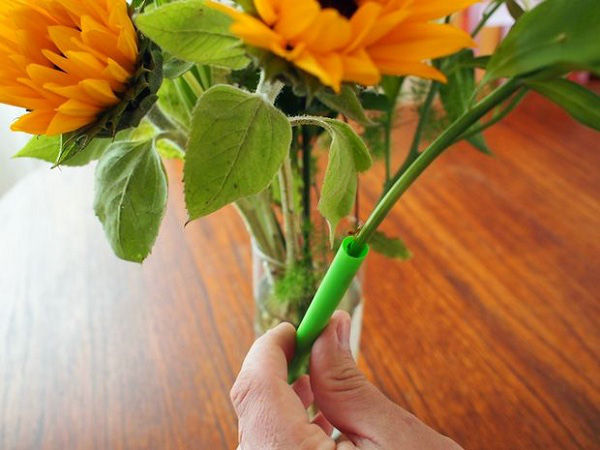 Luồn thân hoa vào 1 đoạn ống hút dài vừa đủ sẽ giúp hoa đứng vững hơn khi cắm vào bình.